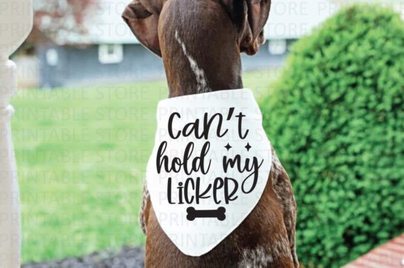 Can’t Hold My Licker SVG